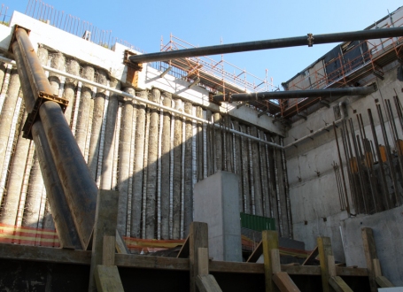 stanisic-imperialbracestransitorienteddevelopment-4